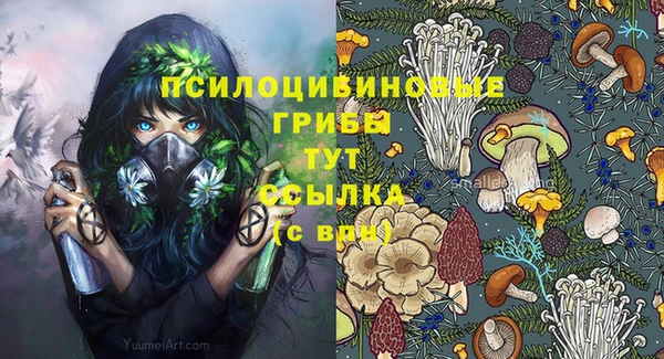 марихуана Абаза